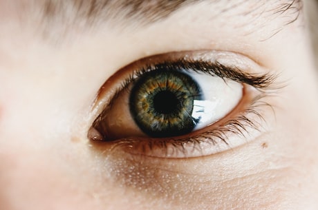 二十种眼形大全图解，你的眼睛属于哪种形态？